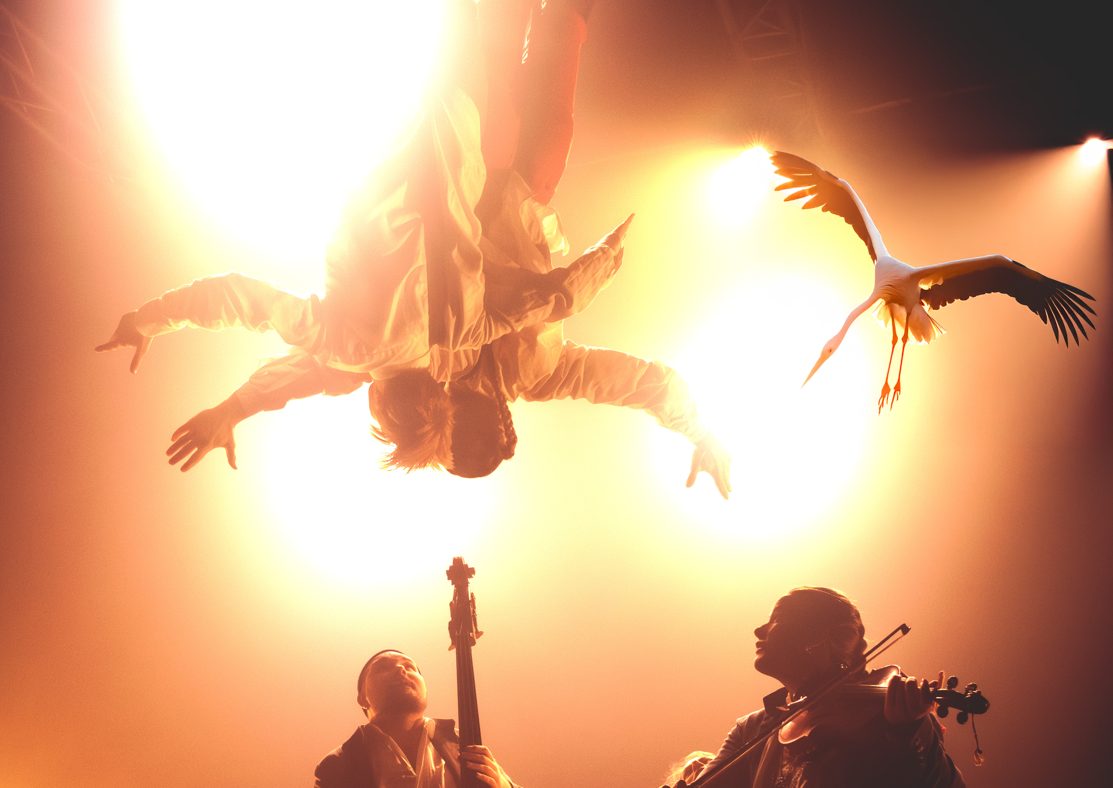 Cirqus Hialøs